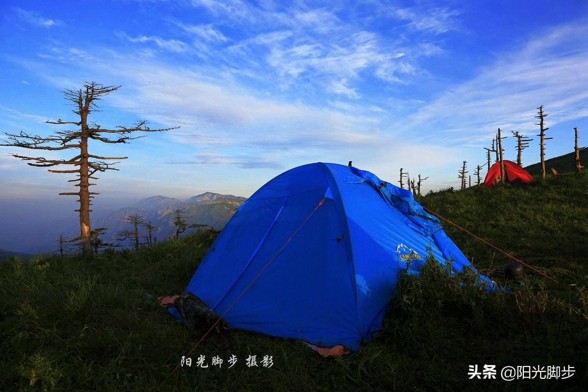 驴友是什么意思代表谁（驴友的成长可分为七个阶段）