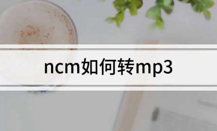 ncm在线转mp3教程（ncm格式怎么转换成mp3）