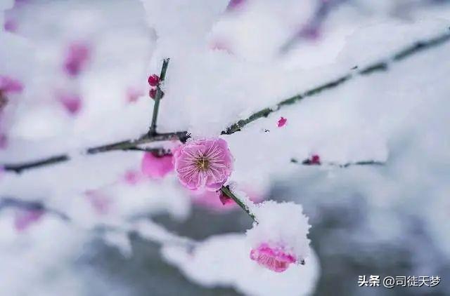 具象化是什么意思（为什么说具象化表达可以增进感情）