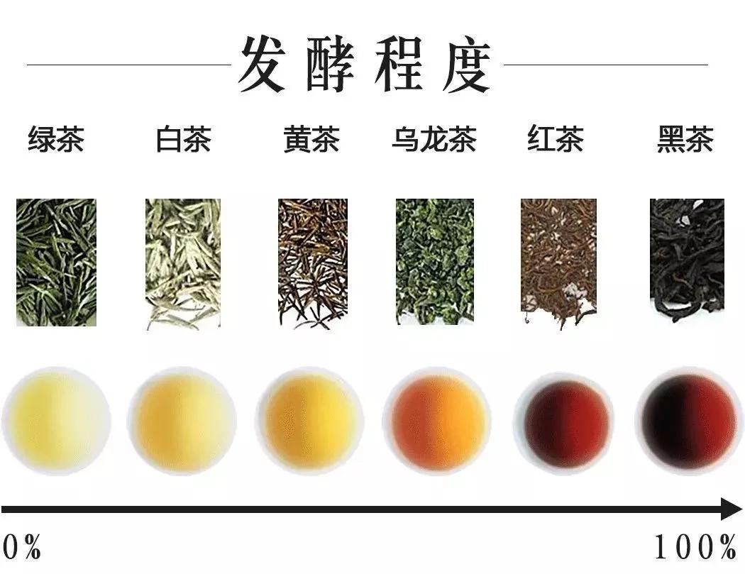 普洱茶属于什么茶（我国普洱茶的优质产地都有哪些）