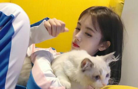 喜欢猫的女生什么性格（喜欢猫的女生性格有哪些特点）