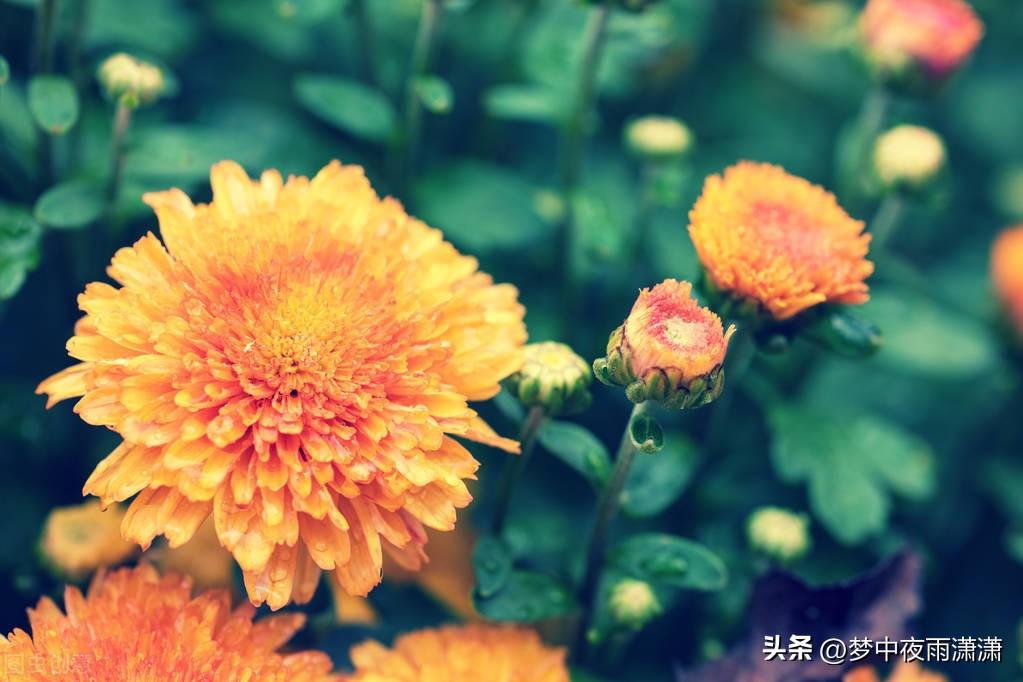 天蝎座和白羊座配吗（天蝎座和白羊座的感情会有好结果吗）