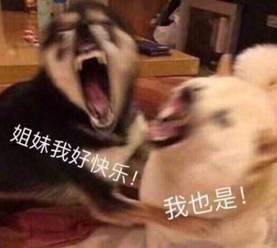 游戏cp是什么意思（网络游戏中的经典cp有哪些）