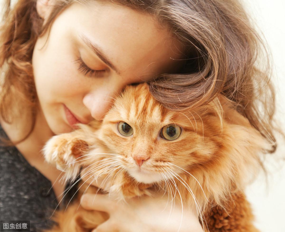 什么猫适合新手女生养（5个好看又温柔的猫咪品种）