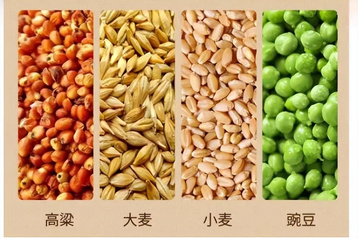 白水杜康和杜康的区别（洛阳杜康和白水杜康的四大不同） ！-第4张图片