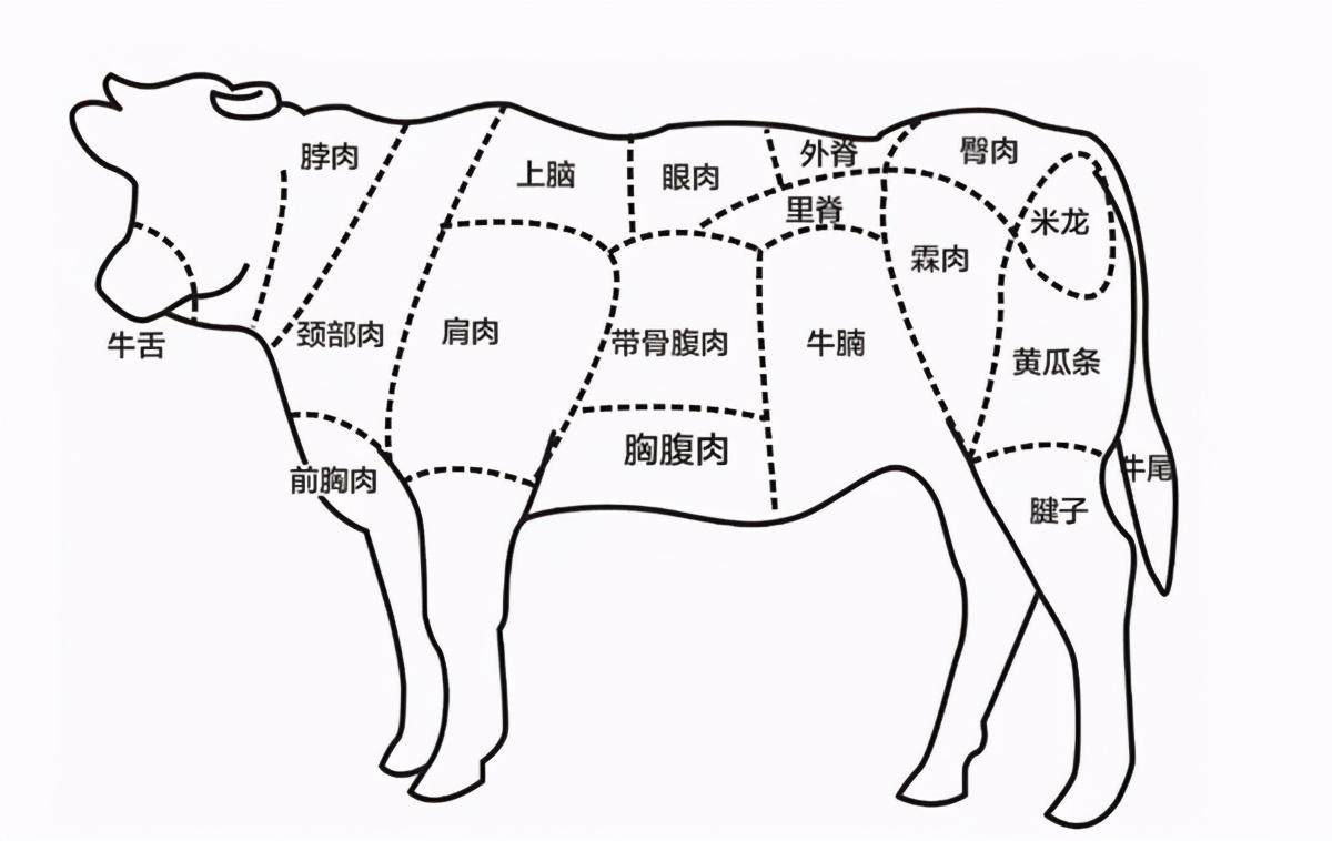 牛三叉肉是哪个部位图图片