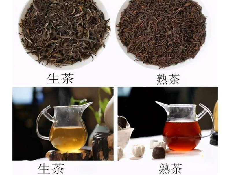 普洱生茶和熟茶的区别（生茶和熟茶哪个更好喝一些呢）
