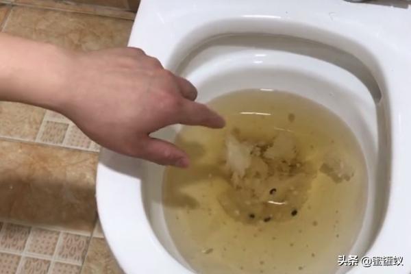 马桶堵了但还缓慢下水怎么办（解决马桶堵了的方法）
