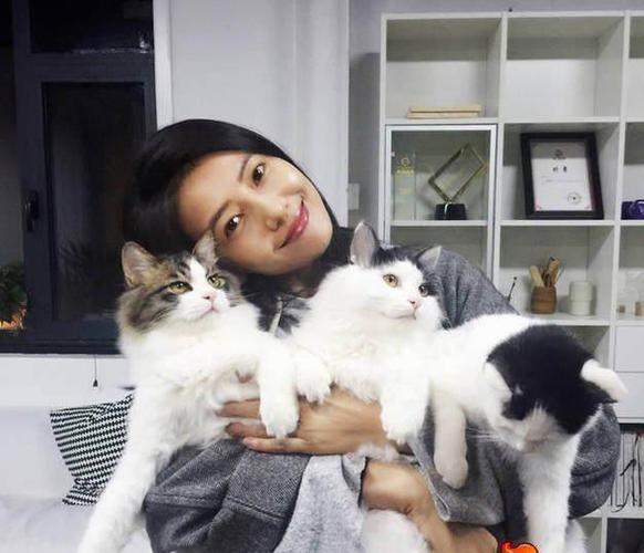 养猫的好处和坏处有哪些（为什么这么多人喜欢养猫）