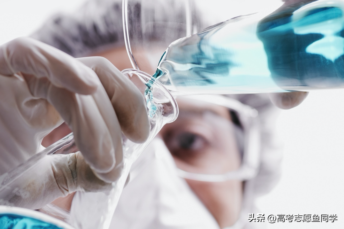 适合女生学的专业有哪些（8个女生比较吃香的大学专业）