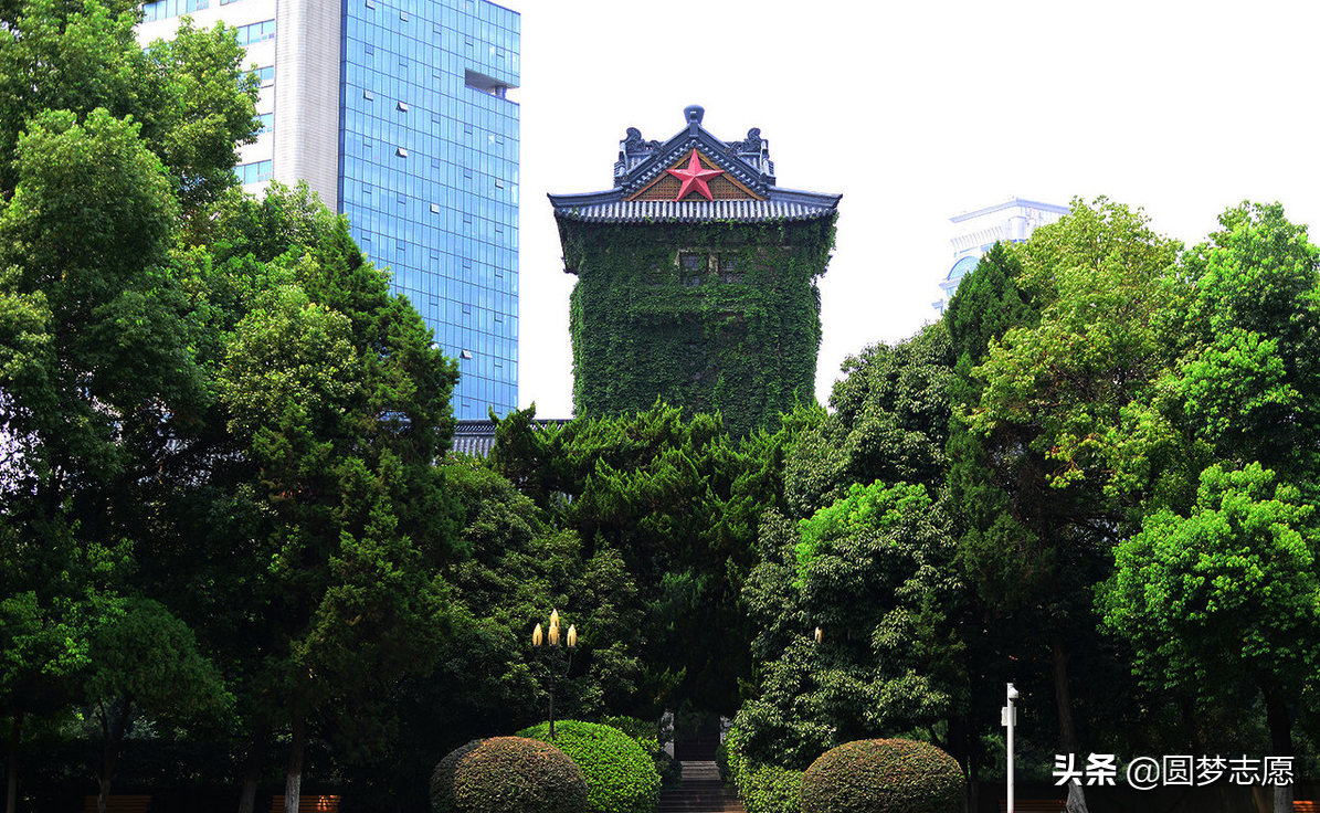c9大学是什么意思（C9高校的实力排名情况如何）