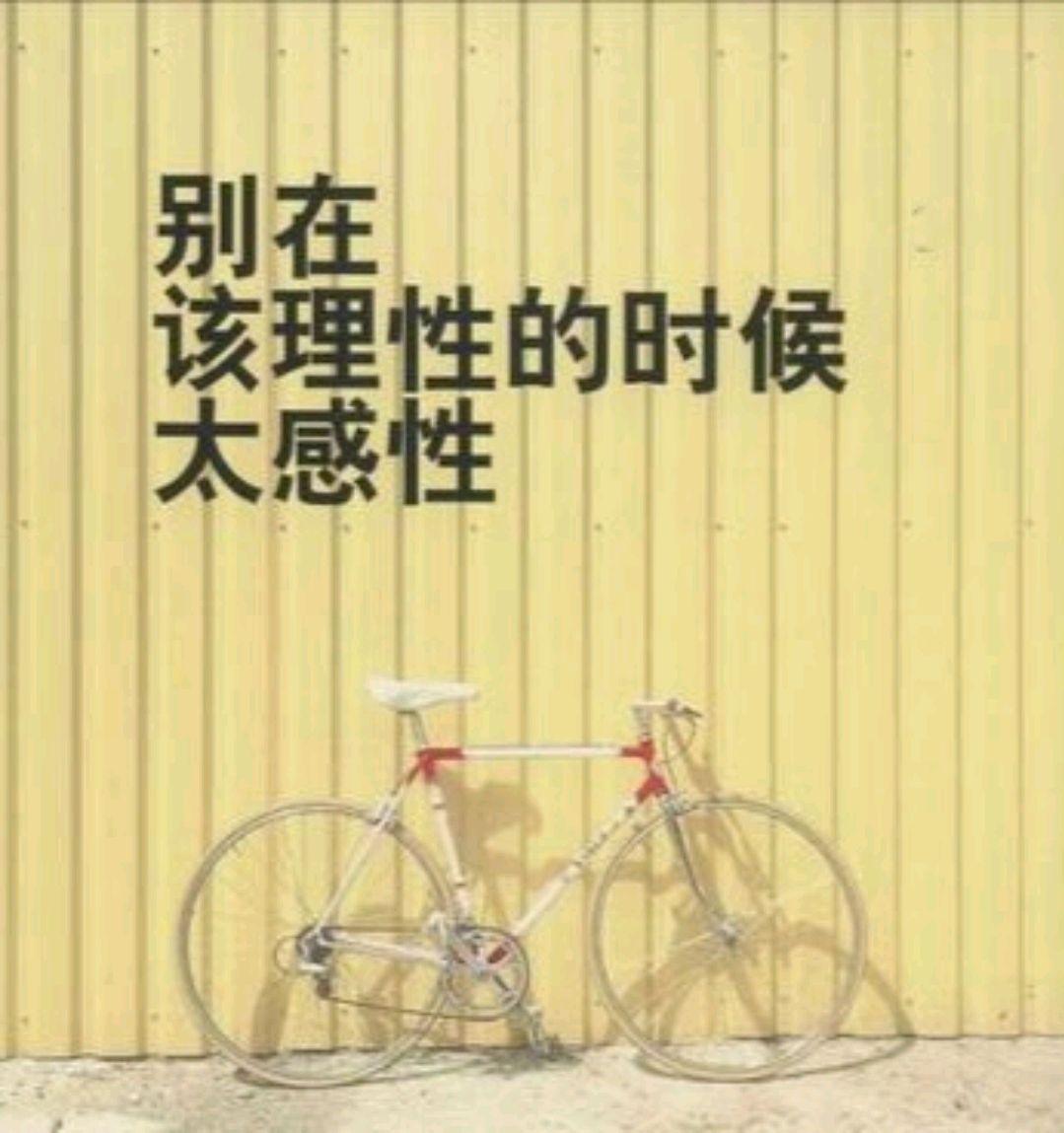 理性和感性的区别（理性的人和感性的人性格上有什么不同）
