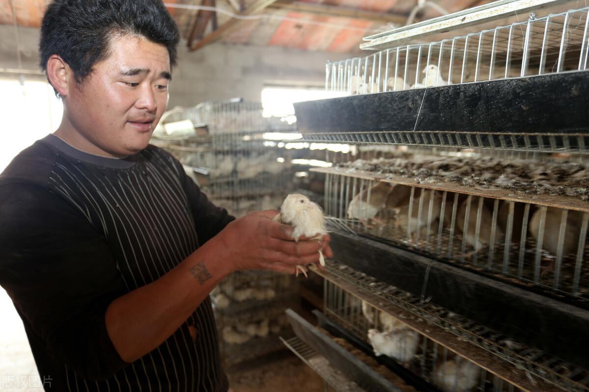 管培生是什么职位（中国式管培生的培养方法是怎样的）