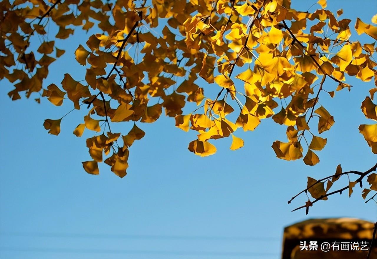 一日不见如隔三秋的意思（这句话最早是出自于哪里的）