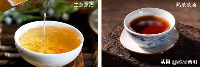 生普洱茶和熟普洱茶的区别（普洱生茶主活熟茶重滑）