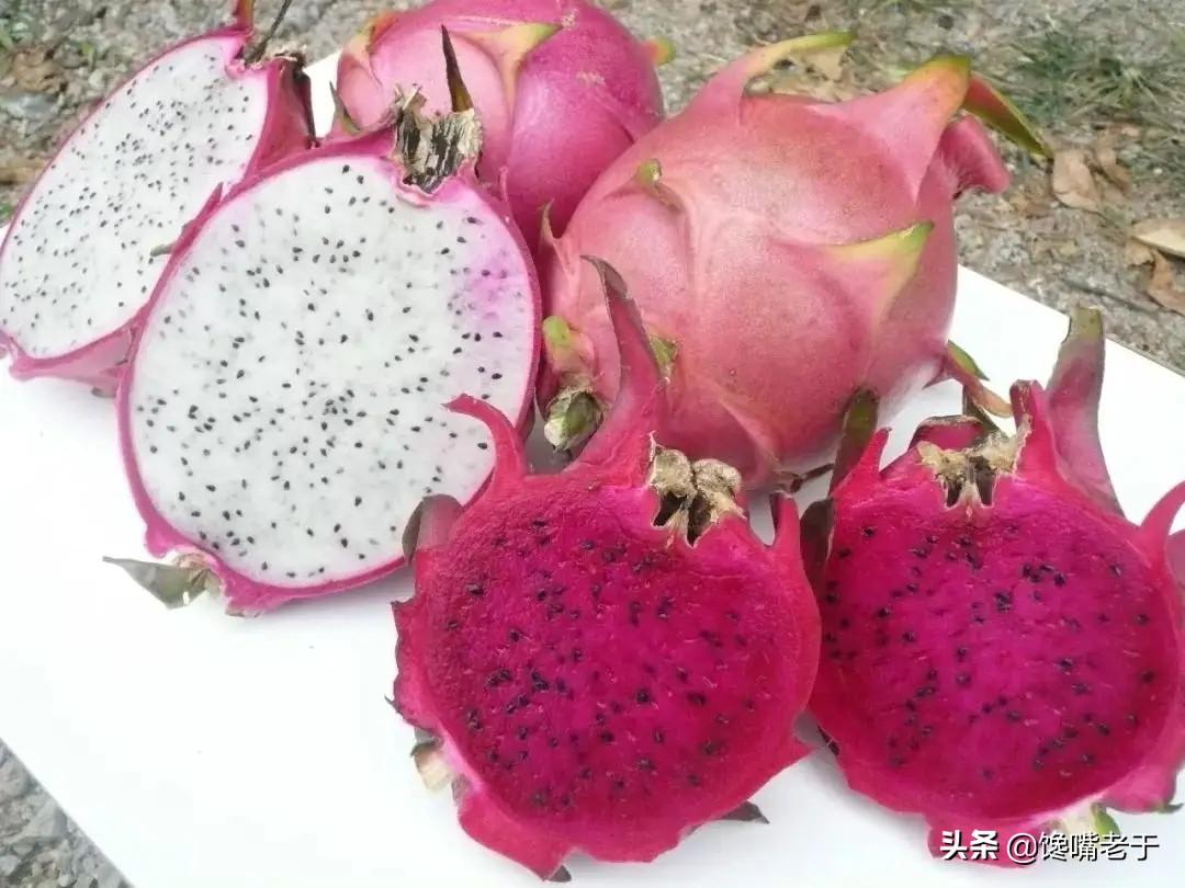 火龙果红心的好还是白心的好（红心和白心火龙果的区别）