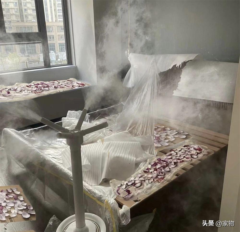 如何去除甲醛最有效的方法（去除家中甲醛的5个步骤）