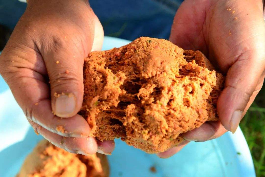 冬天钓鱼用什么饵料最好（怎么选择鱼饵的味型和颜色） ！-第4张图片
