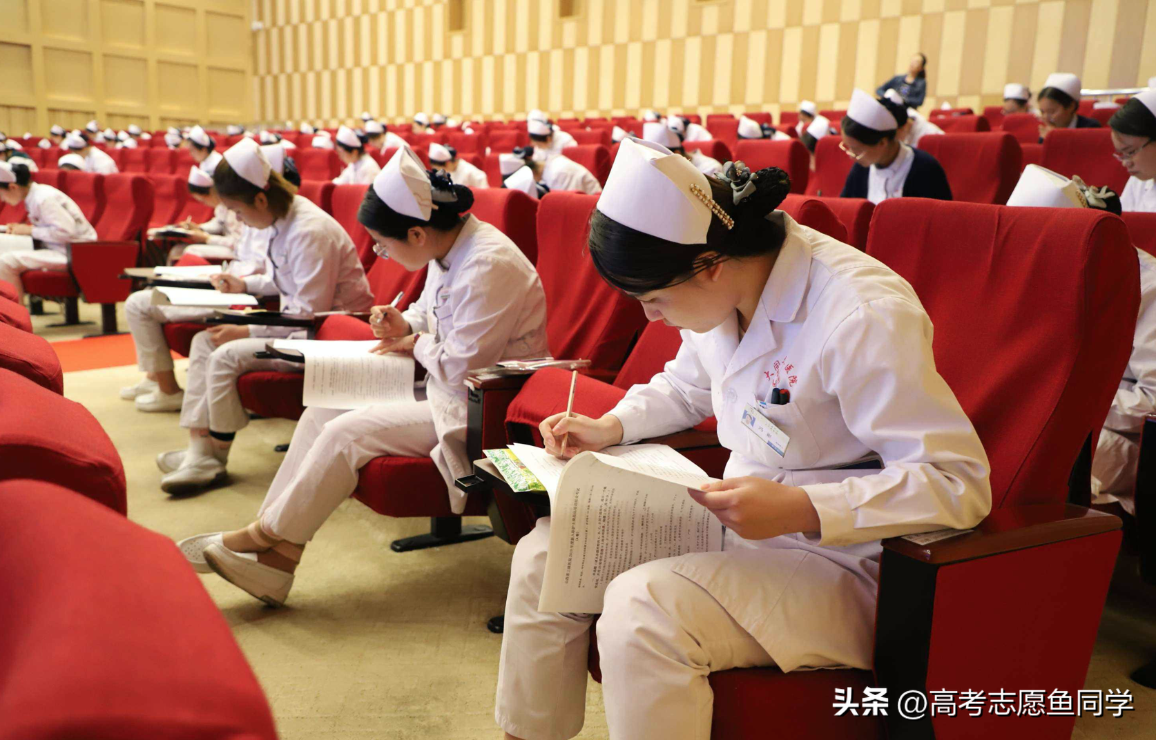适合女生读的大专专业（哪些专业毕业后容易找工作）
