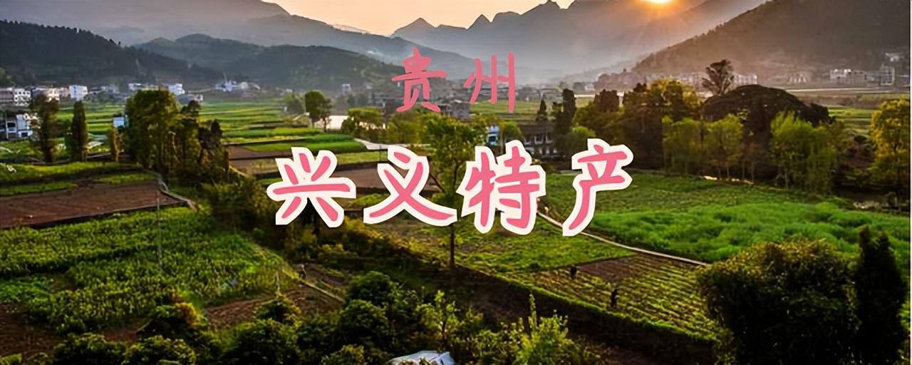 贵州必买的八大特产（贵州兴义有哪些地理标志产品）