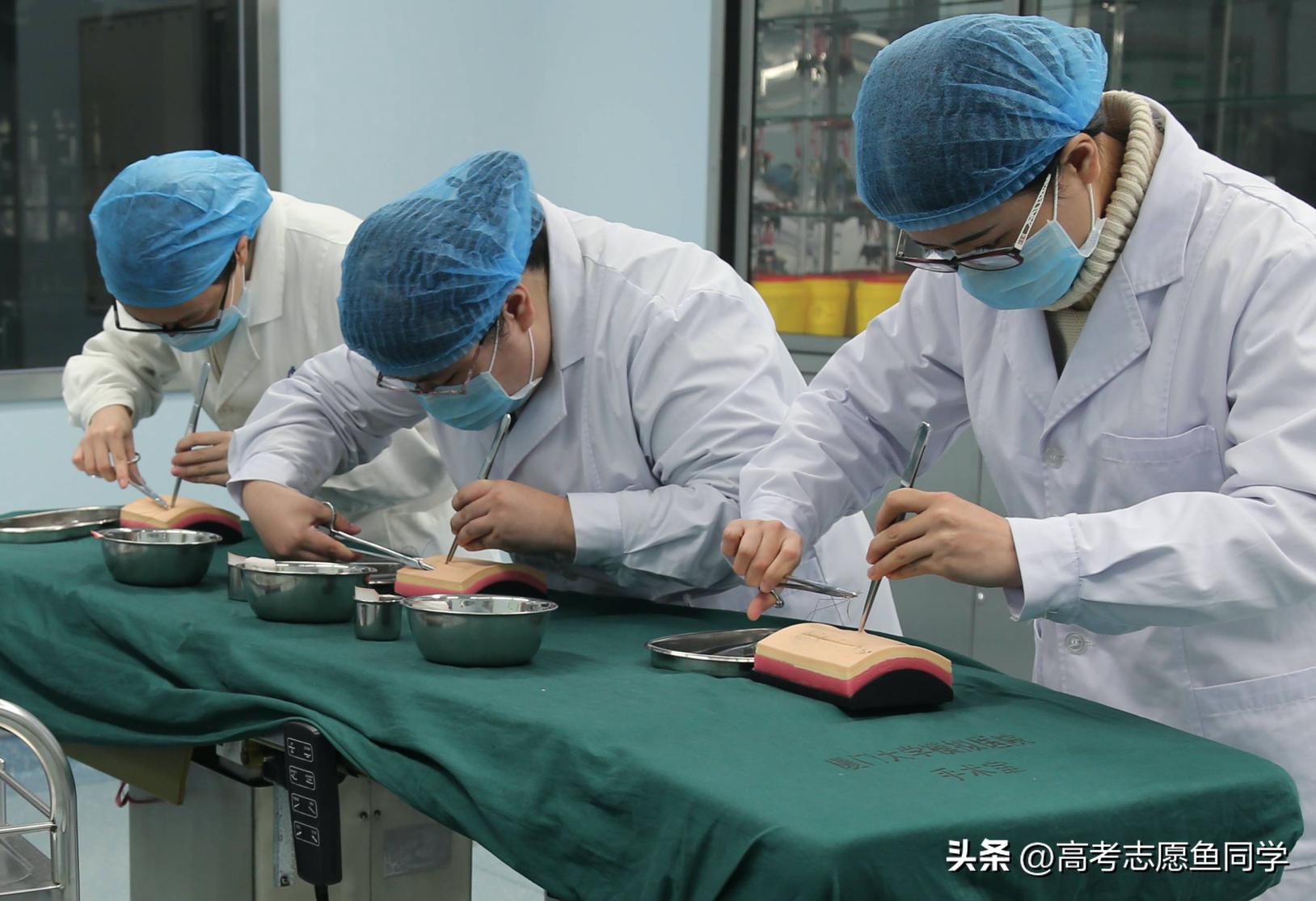 医学就业率最高的十大专业（盘点国内十大热门医学专业）