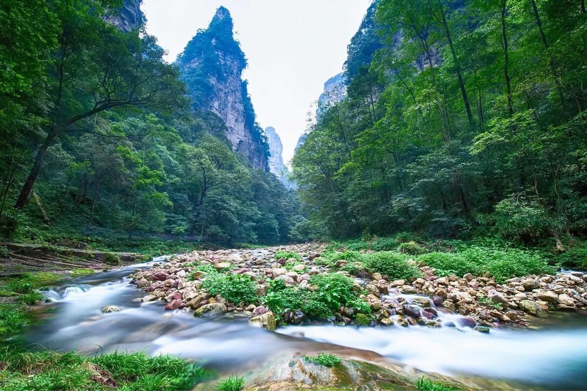 张家界几月份去玩是最佳时间（什么时候去张家界适合）