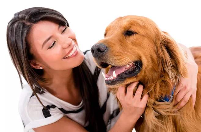 摸幼犬的头它会向上咬（哪些部位是狗狗不能摸的禁区）