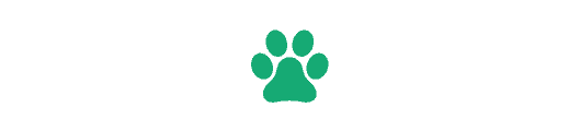 猫咪打呼噜代表什么意思（盘点猫咪打呼噜的6个原因）