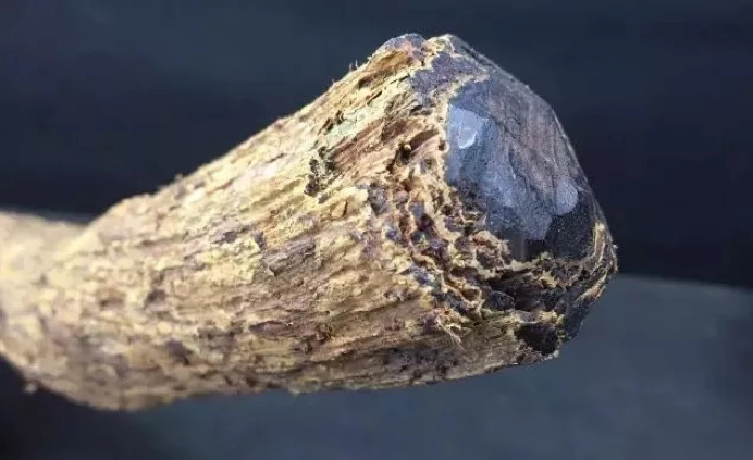 降真香是什么木料（辨别真假降真香的方法都有哪些）