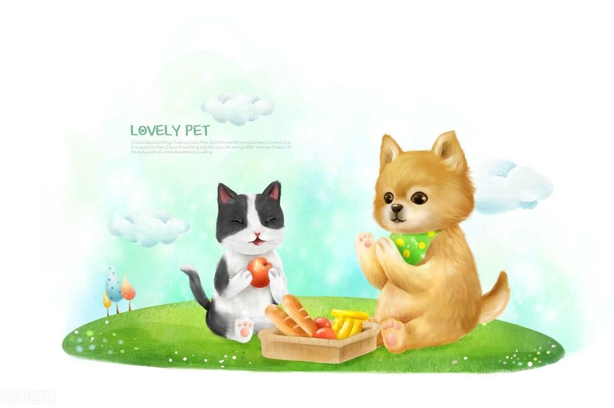 猫可以吃什么水果（猫吃水果的好处和坏处分别是什么）