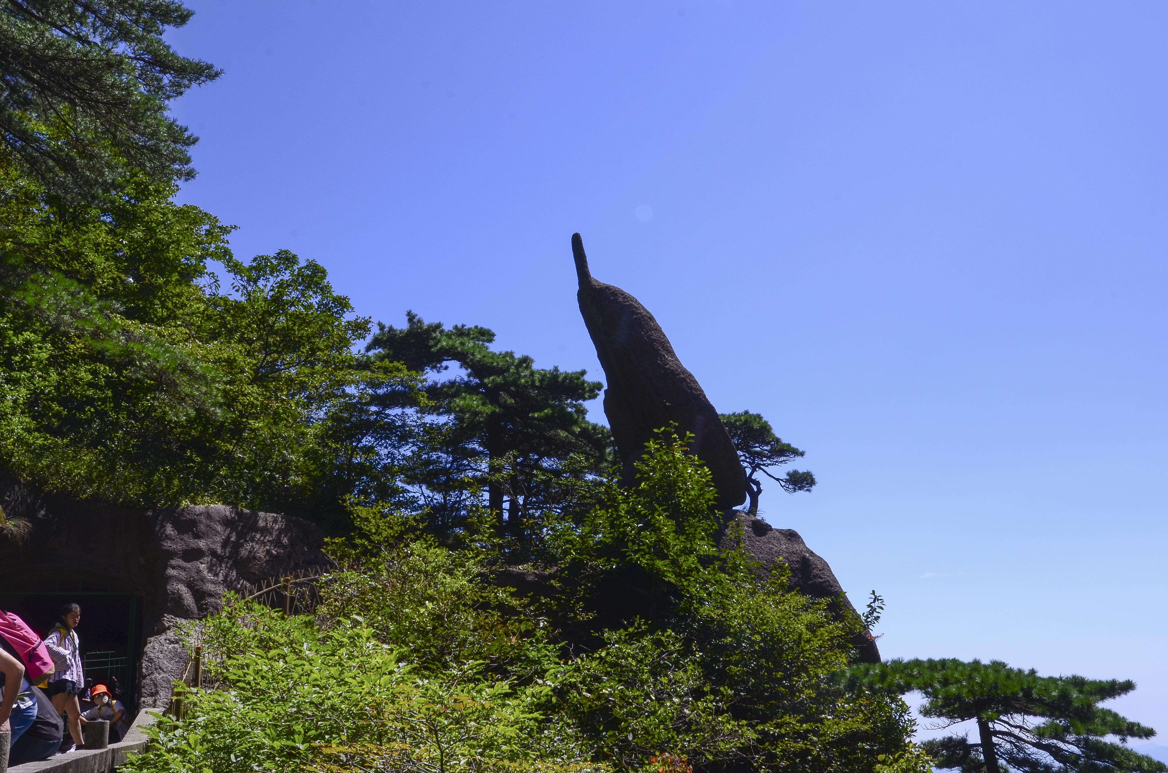 黄山海拔最高多少米（黄山一日游都能看到哪些景色）