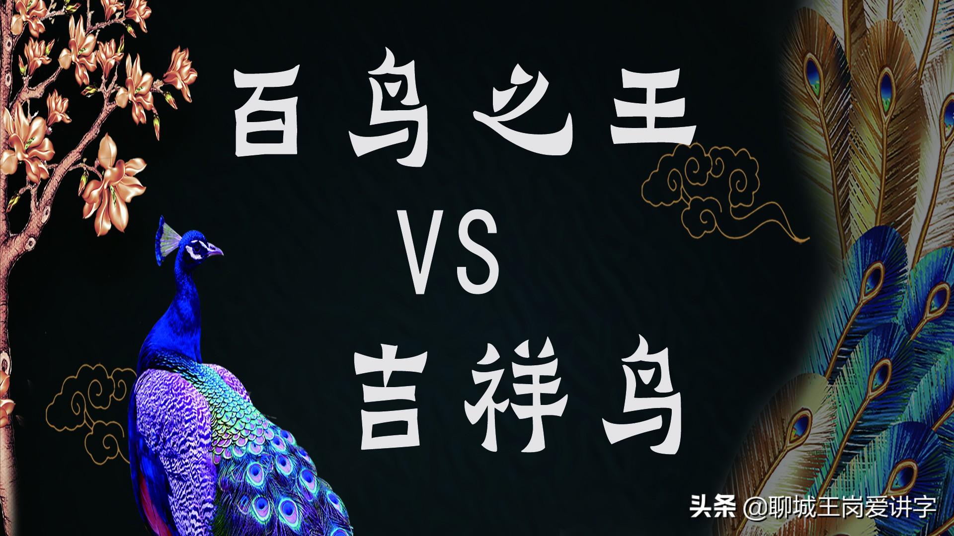 凤凰和孔雀的区别在哪里（凤凰和孔雀究竟谁是百鸟之王）