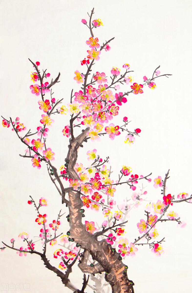 花中四君子指的是什么（竹子为何能位列花中四君子呢）