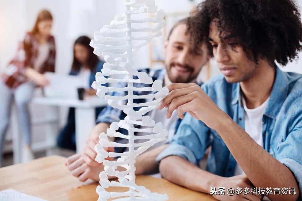 霍兰德职业兴趣测试的理论来源（SDS的6大人格模型）