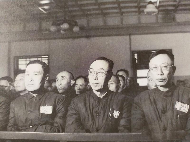 紫河车是什么东西（溥仪临终前为什么一直喊紫河车）