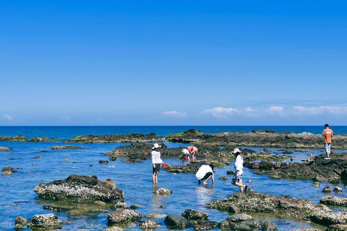 赶海去哪里比较好（东戴河适合赶海的五个地点是什么）