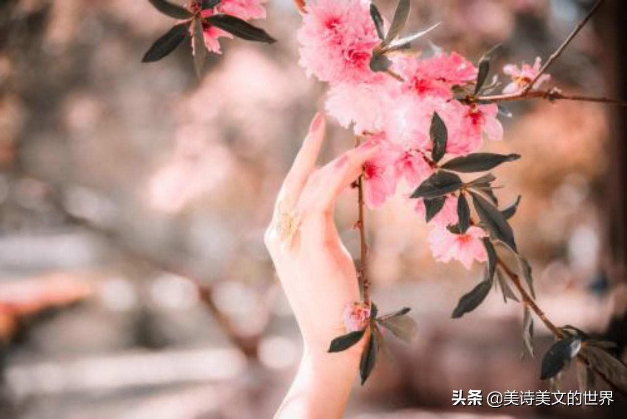 阳春水是什么意思（十指不沾阳春水用来形容哪些女性）