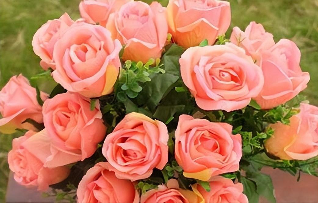 19朵玫瑰花代表什么意思（探究19朵玫瑰所代表的花语）