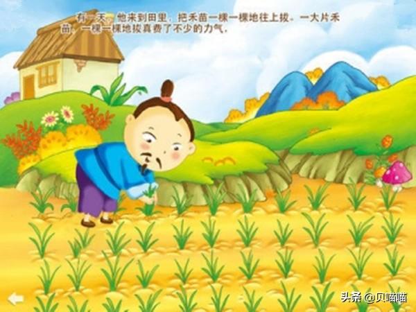 拔苗助长告诉我们什么道理（教育中有哪些拔苗助长的行为）