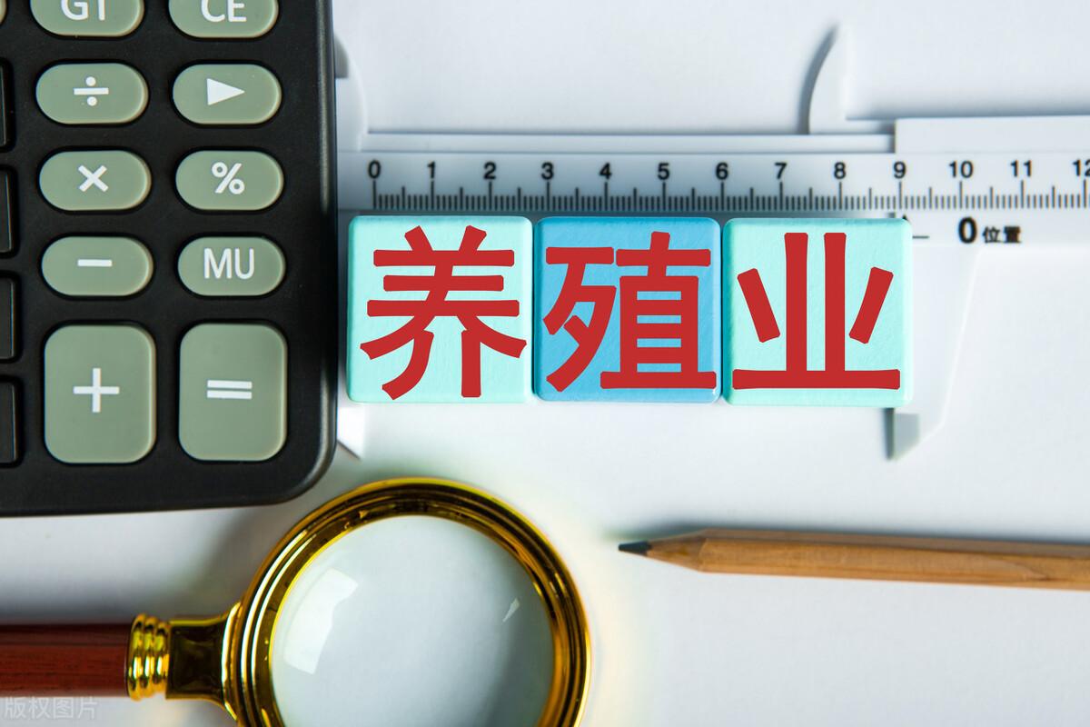 养殖业什么最赚钱农村（农村发展前景不错的的4种养殖）