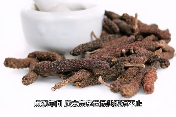 荜茇的营养价值和功效（详解荜茇的药用与食用功能及副作用）