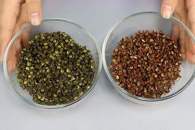 麻椒和花椒的区别（麻椒与花椒的区别和用途）