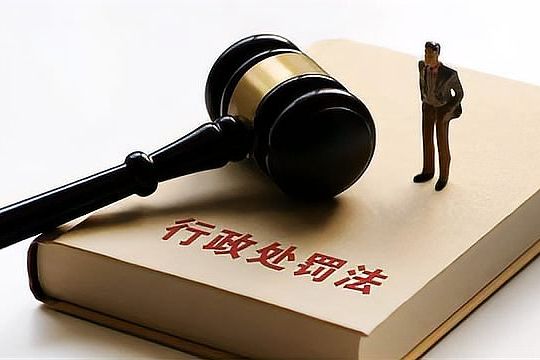 行政处罚的种类和情况（解析行政处罚的种类和适用情况）