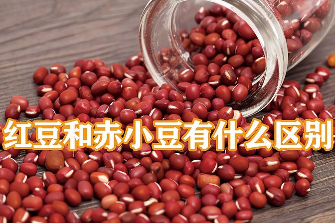 红豆与赤小豆的区别（全面解析红豆和赤小豆的区别和营养价值）