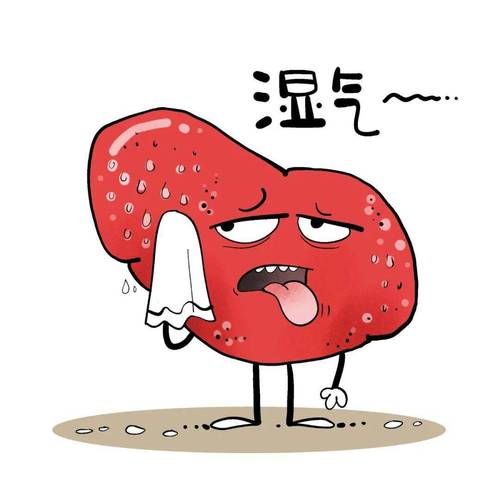 去除体内湿气的方法（介绍去除体内湿气的技巧）
