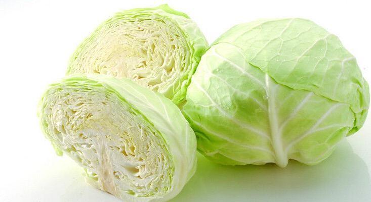 卷心菜和包菜的区别（辨析卷心菜和包菜之间的异同）