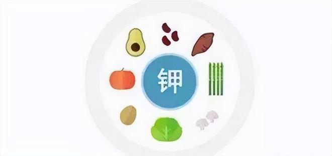 钾高的原因是什么（探究高钾血症的发生原因）