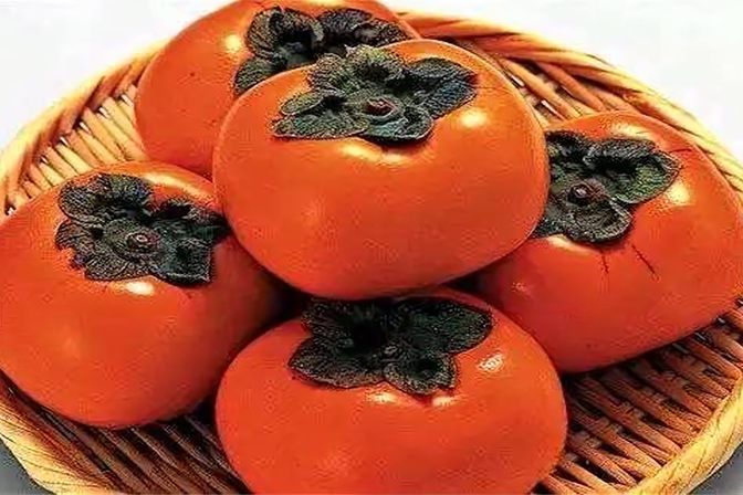 柿子何时成熟（揭示柿子的成熟时间）