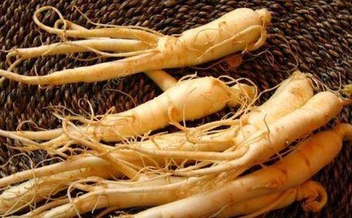 人参直接食用可行吗（解析人参直接食用的可行性）