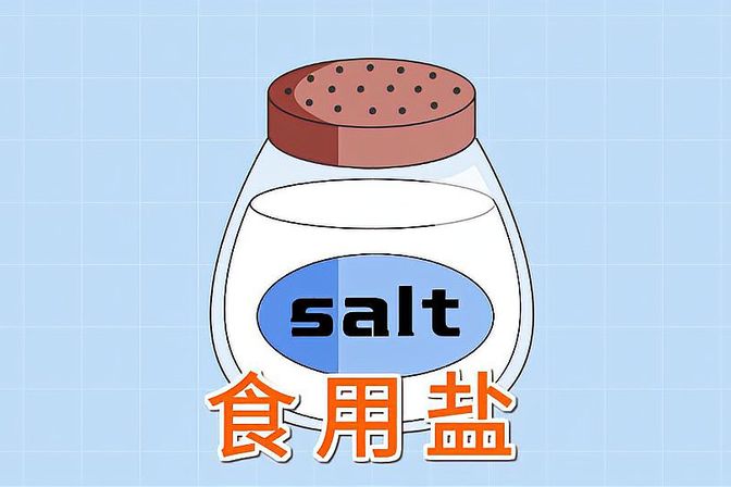 盐的成分构成（揭示盐的化学成分和组成）